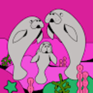 Meet your Posher, Naomi